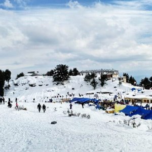 A Perfect Family Getaway: Shimla Manali Trip