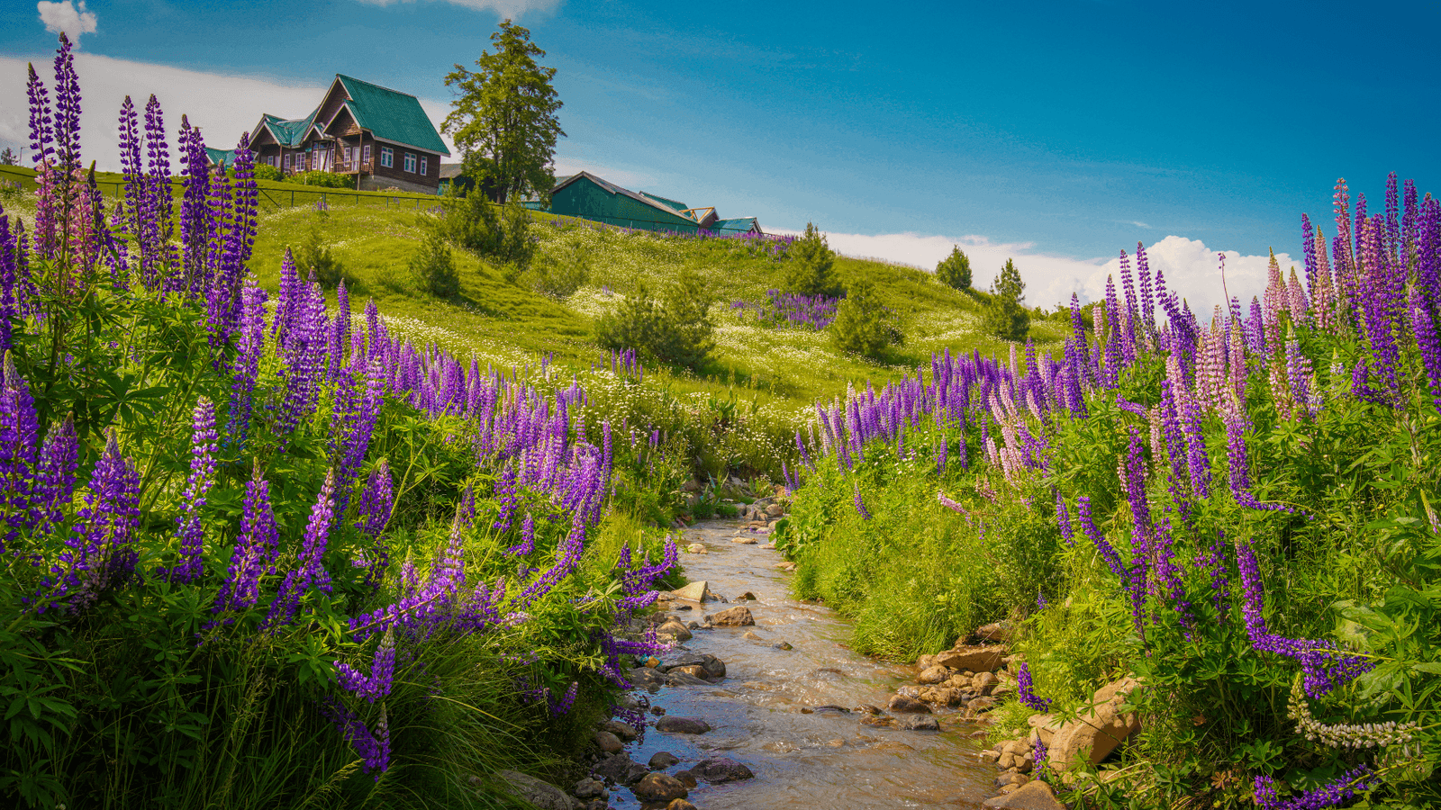 Across Meadows & Memories: Kashmir Holiday Package
