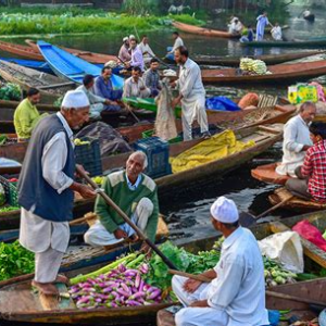 Across Meadows & Memories: Kashmir Holiday Package