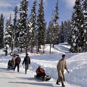 Across Meadows & Memories: Kashmir Holiday Package
