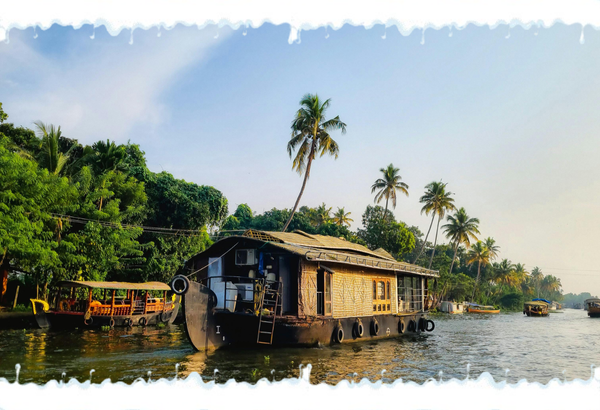 Alleppey, Cochin & Munnar: 6 Day Kerala Honeymoon Experience