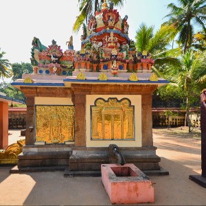 Alleppey, Cochin & Munnar: 6 Day Kerala Honeymoon Experience