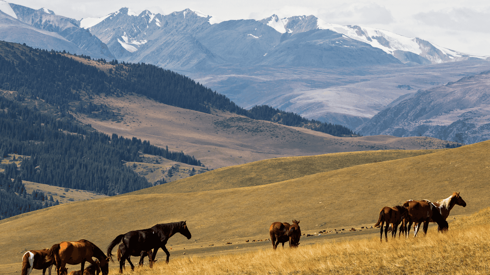 Almaty City Tour Holiday: Discover the Heart of Kazakhstan
