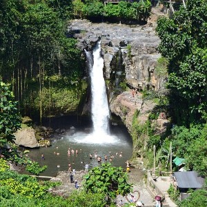 Bali 8-DAY Tropical Escape