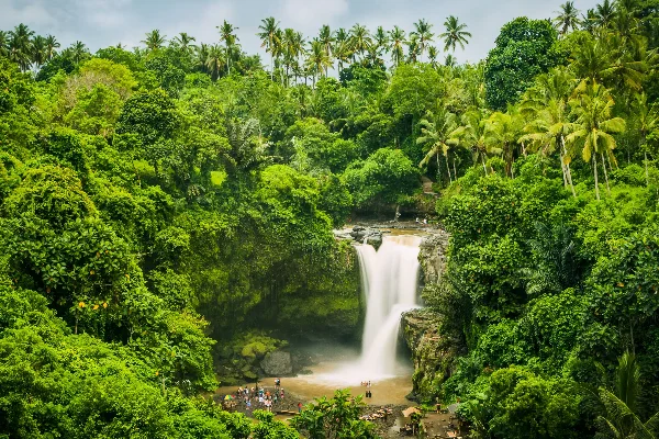 Bali Couple Tour Package 7 Days: A Romantic Journey — photo 3