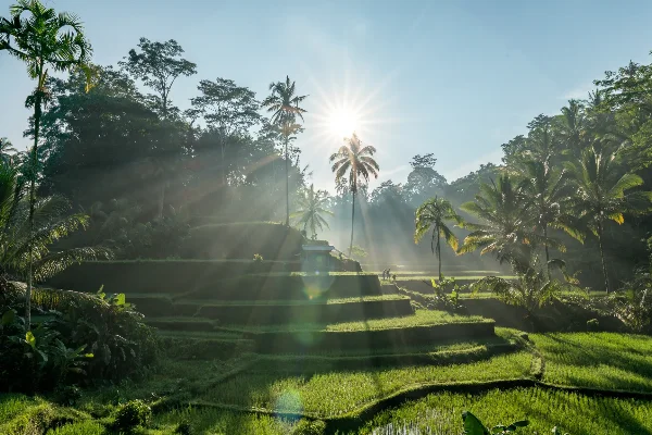 Bali Couple Tour Package 7 Days: A Romantic Journey — photo 4