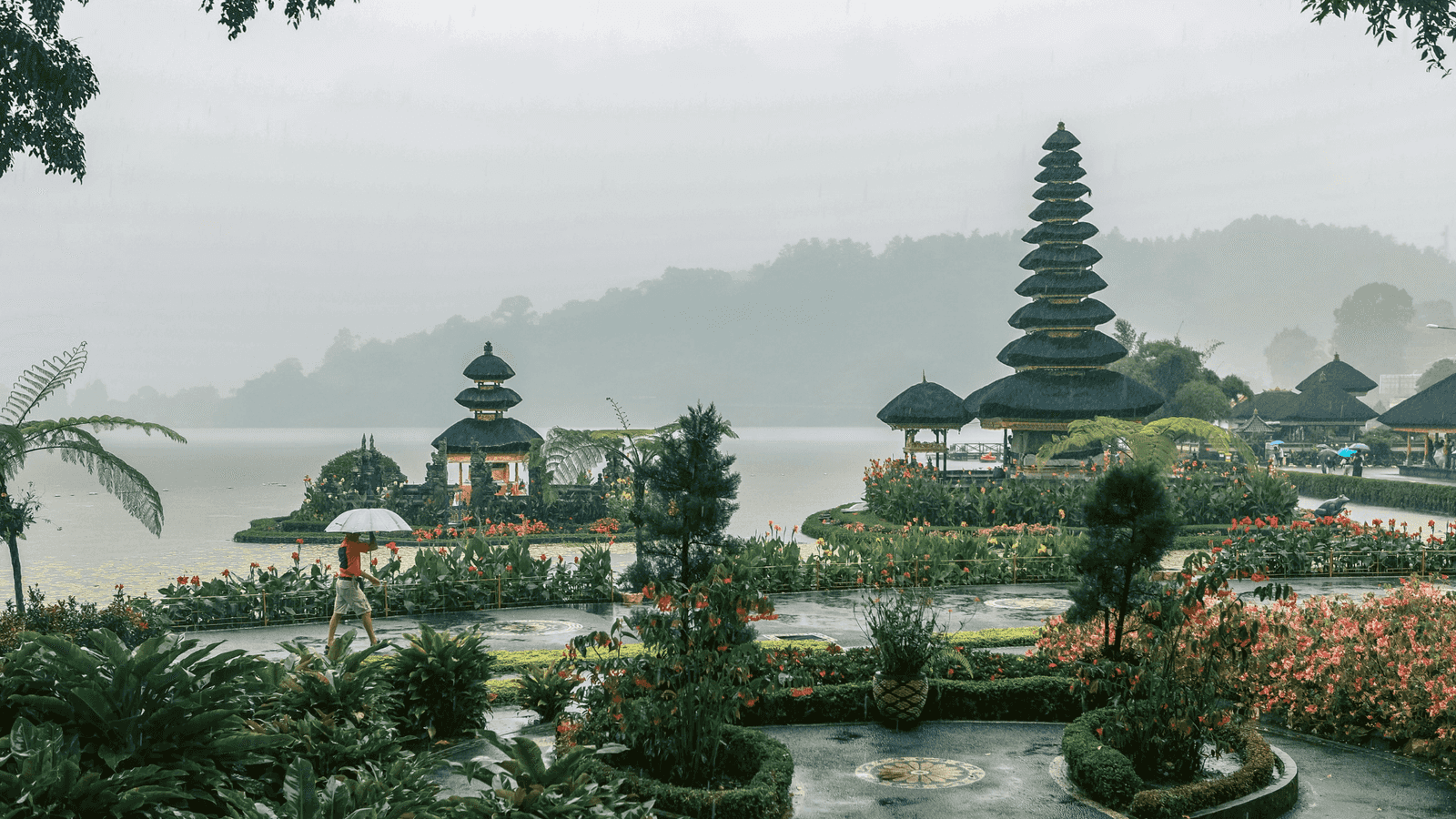 Bali Family Package: Explore Ubud, Kuta, and Nusa Penida in 6 Days