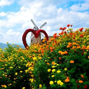 Classic Philippines Honeymoon Trip Experience