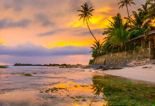 Classic Sri Lanka 5-Day Itinerary: Hills, Heritage & City