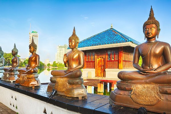 Classic Sri Lanka 5-Day Itinerary: Hills, Heritage & City — photo 2