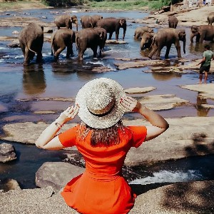 Classic Sri Lanka 5-Day Itinerary: Hills, Heritage & City