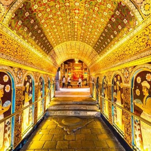 Classic Sri Lanka 5-Day Itinerary: Hills, Heritage & City