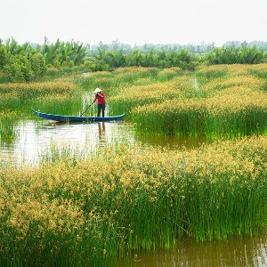 Complete Vietnam Trip Package: Cities, Countryside, and Coastal Charm