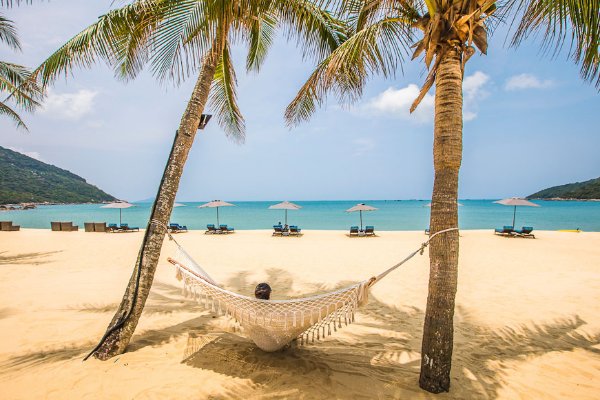 Danang Honeymoon Tour Package: A Perfect Romantic Escape — photo 3