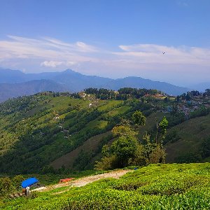 Darjeeling from Gangtok: Himalayan Family Journey