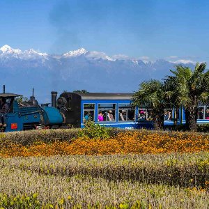 Darjeeling from Gangtok: Himalayan Family Journey