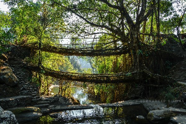 Discover Meghalaya’s Beauty: North East Honeymoon Package — photo 2