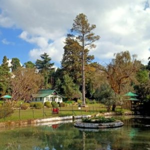 Discover Meghalaya’s Beauty: North East Honeymoon Package