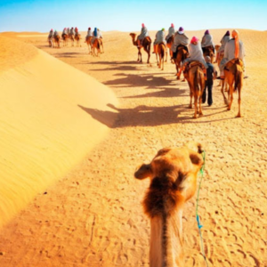 Dubai Holiday Tour Package: Your Ultimate Getaway
