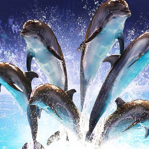 Dubai Tour Package for Family