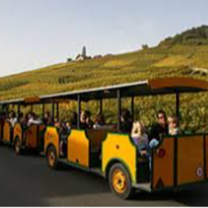 Europe Tour: Switzerland, Paris and Amsterdam