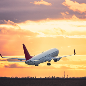 Exclusive Vietnam Honeymoon Tour Package: A Journey for Two