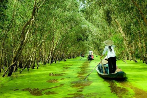 Explore Ho Chi Minh with Family Tour Vietnam — photo 2