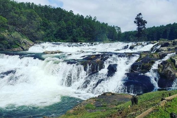 Explore Tamil Nadu, Karnataka, and Kerala in 7 Days — photo 1