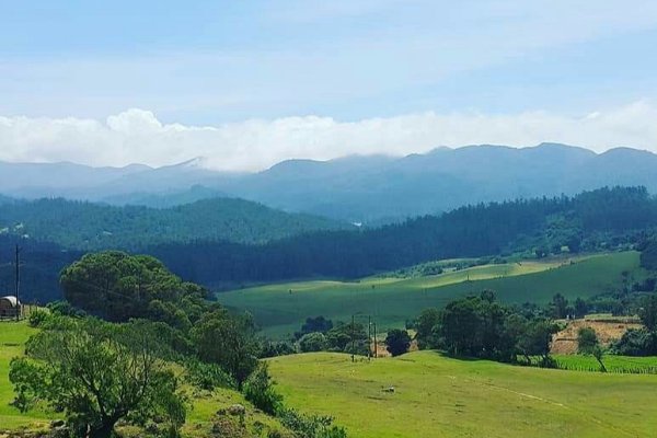 Explore Tamil Nadu, Karnataka, and Kerala in 7 Days — photo 3