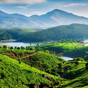 Explore Tamil Nadu, Karnataka, and Kerala in 7 Days