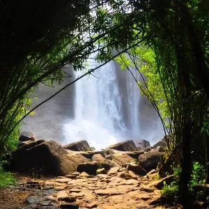 Explore Tamil Nadu, Karnataka, and Kerala in 7 Days