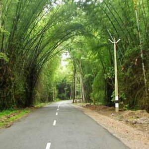 Explore Tamil Nadu, Karnataka, and Kerala in 7 Days