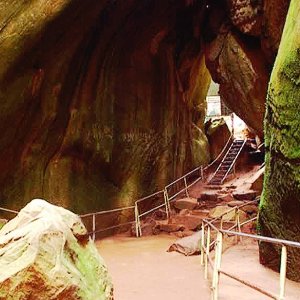 Explore Tamil Nadu, Karnataka, and Kerala in 7 Days