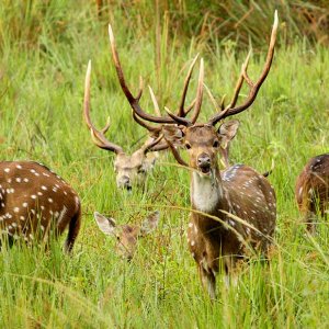 Explore Tamil Nadu, Karnataka, and Kerala in 7 Days