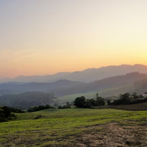 Explore Tamil Nadu, Karnataka, and Kerala in 7 Days