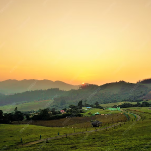 Explore Tamil Nadu, Karnataka, and Kerala in 7 Days