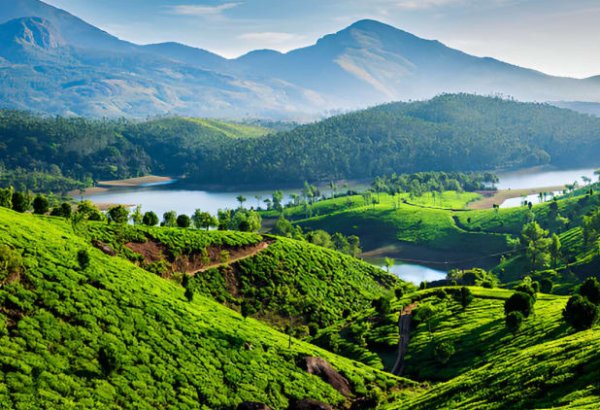 Family Kerala Trip: Explore the Best of Hills, Wildlife, and Beaches in 6 Days