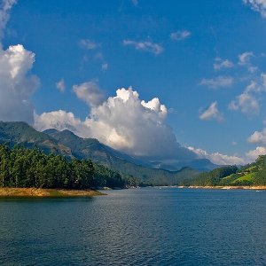 Family Kerala Trip: Explore the Best of Hills, Wildlife, and Beaches in 6 Days