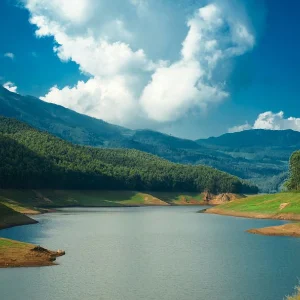 Family Kerala Trip: Explore the Best of Hills, Wildlife, and Beaches in 6 Days