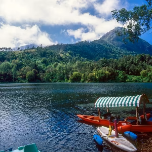 Family Kerala Trip: Explore the Best of Hills, Wildlife, and Beaches in 6 Days