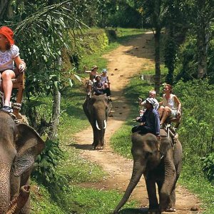 Family Kerala Trip: Explore the Best of Hills, Wildlife, and Beaches in 6 Days