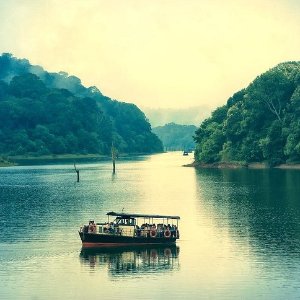 Family Kerala Trip: Explore the Best of Hills, Wildlife, and Beaches in 6 Days