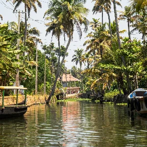 Family Kerala Trip: Explore the Best of Hills, Wildlife, and Beaches in 6 Days