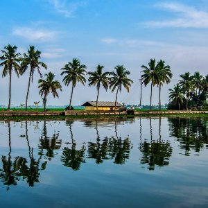 Family Kerala Trip: Explore the Best of Hills, Wildlife, and Beaches in 6 Days