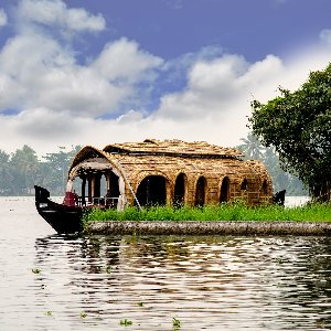 Family Kerala Trip: Explore the Best of Hills, Wildlife, and Beaches in 6 Days