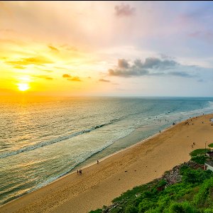 Family Kerala Trip: Explore the Best of Hills, Wildlife, and Beaches in 6 Days