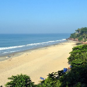 Family Kerala Trip: Explore the Best of Hills, Wildlife, and Beaches in 6 Days