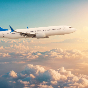 Family Kerala Trip: Explore the Best of Hills, Wildlife, and Beaches in 6 Days