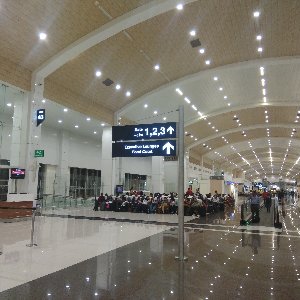 Family Kerala Trip: Explore the Best of Hills, Wildlife, and Beaches in 6 Days