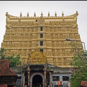 Family Kerala Trip: Explore the Best of Hills, Wildlife, and Beaches in 6 Days